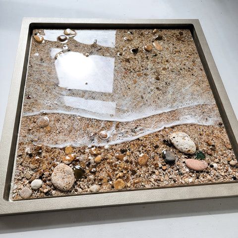 Tide Pool Treasures